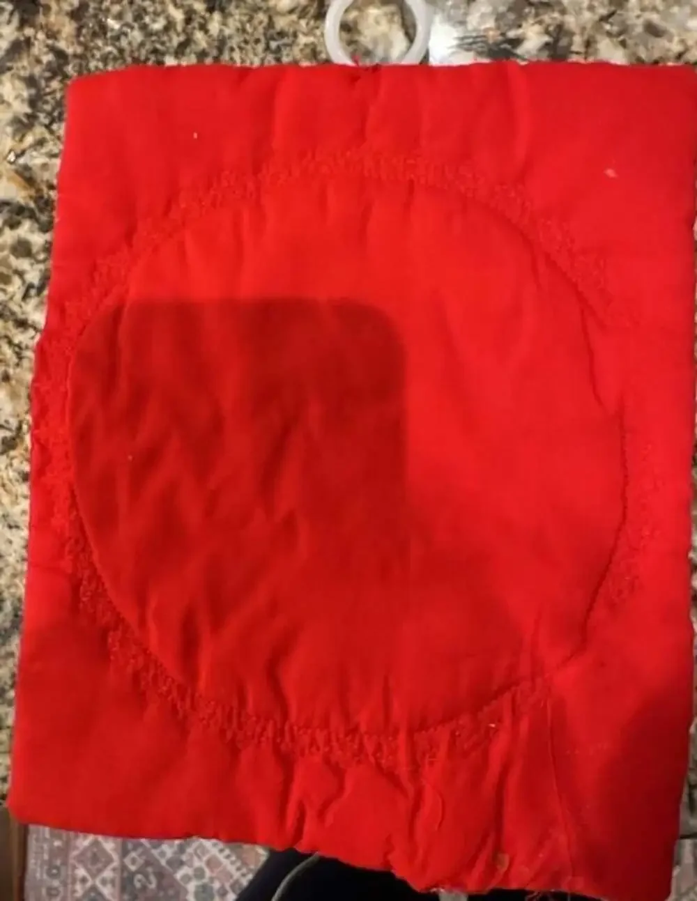 VTG Holiday 3 Owl Poinsettias Hot Pad on a Pine Branch Good USED Condition